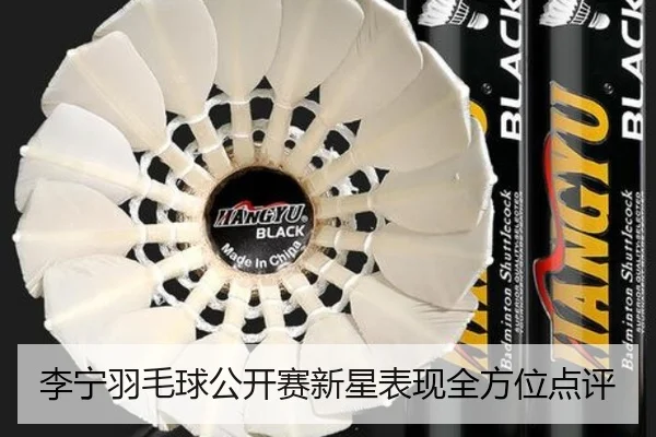 李宁羽毛球公开赛新星表现全方位点评